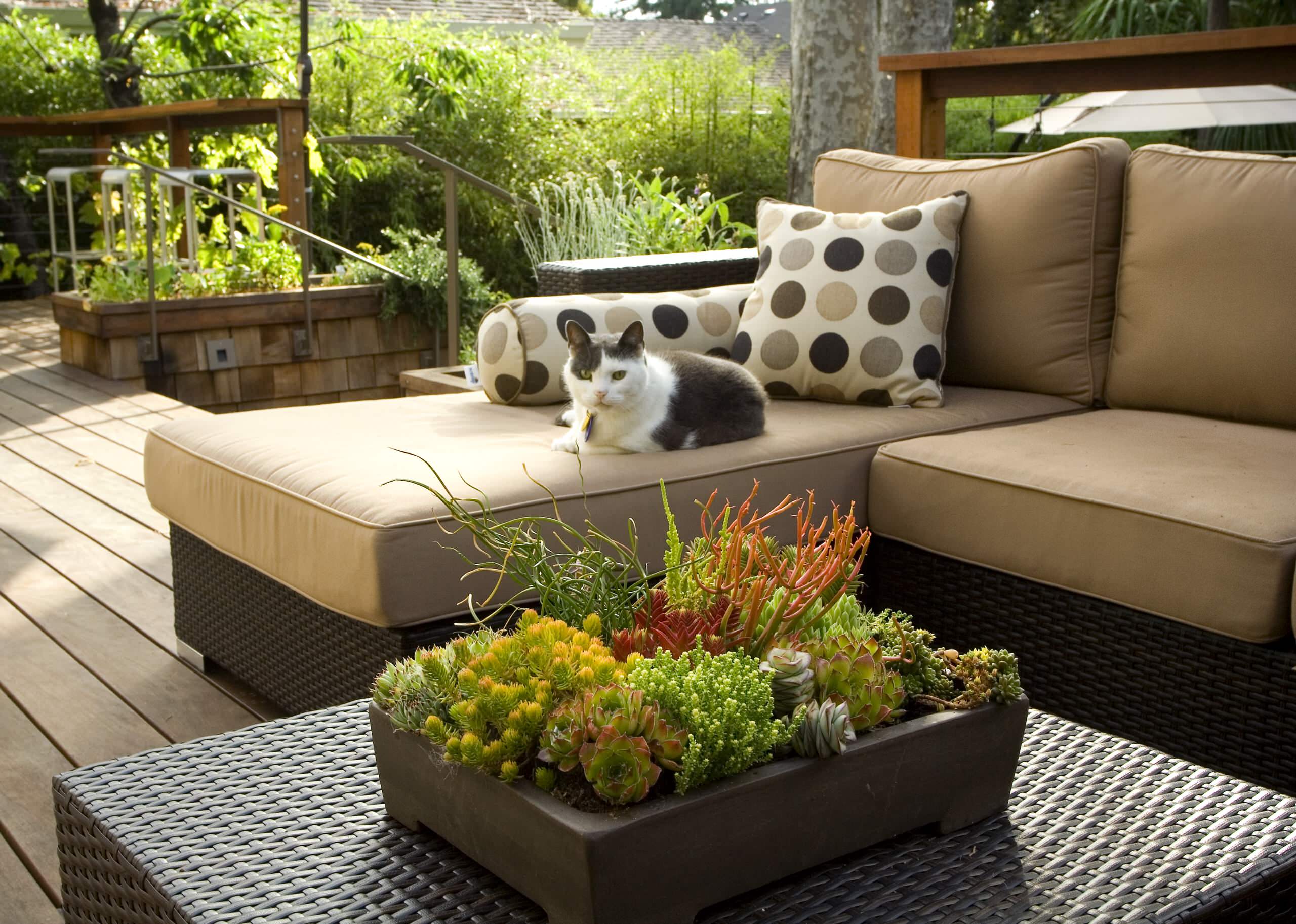 10 Ways to Make Magic With Succulent Centerpieces