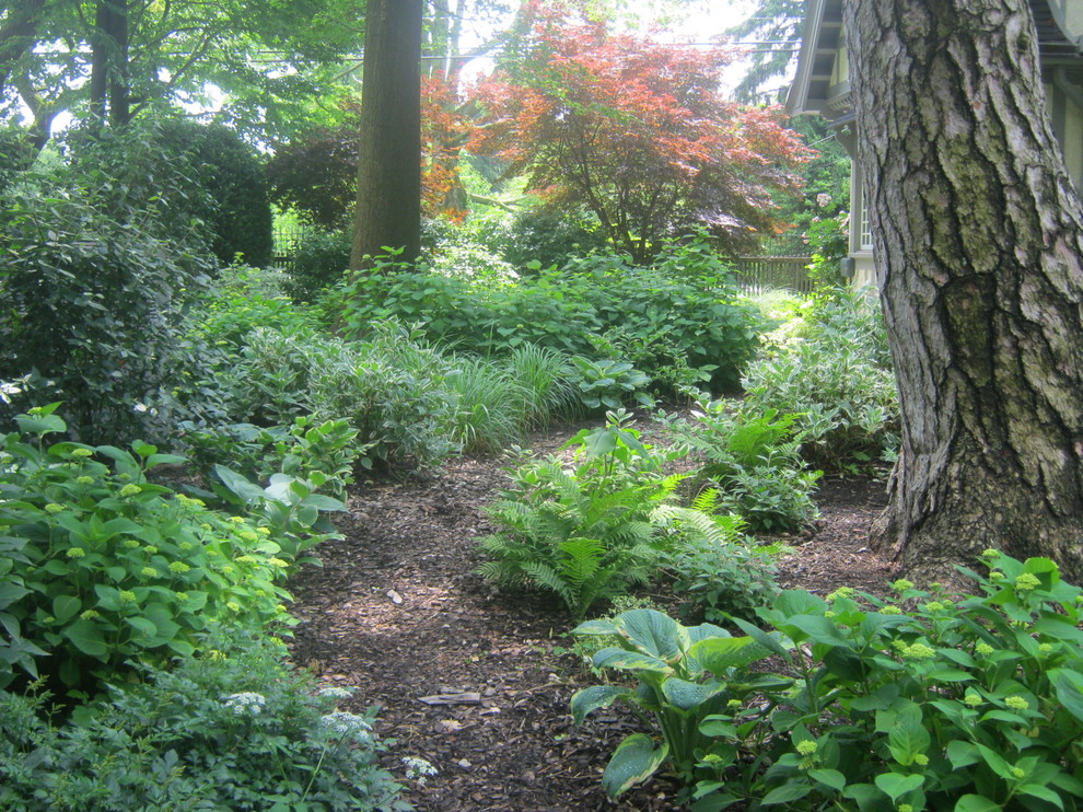 Photo of a traditional garden in Philadelphia.