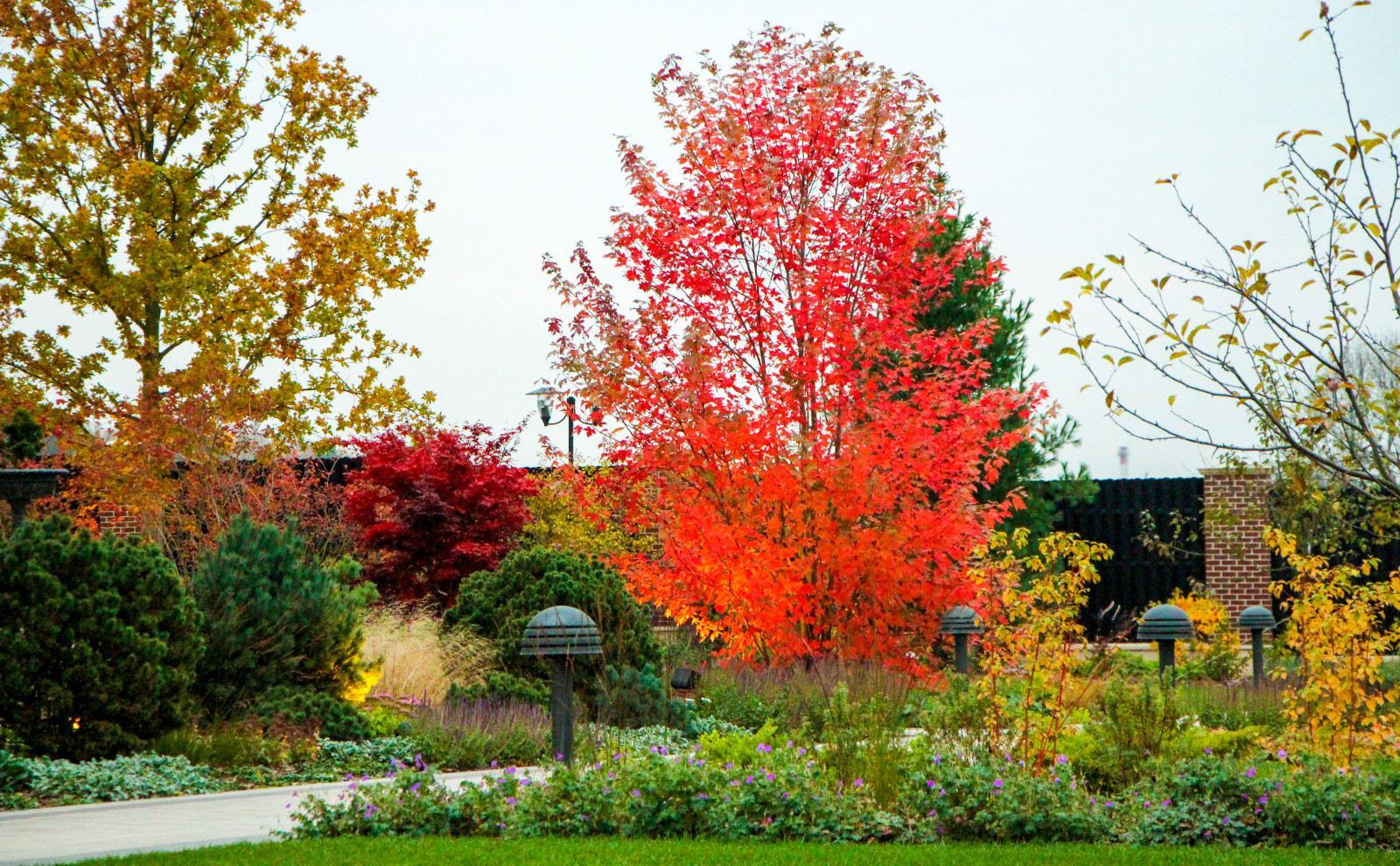 Горки-10, 2017-2020 г.г.