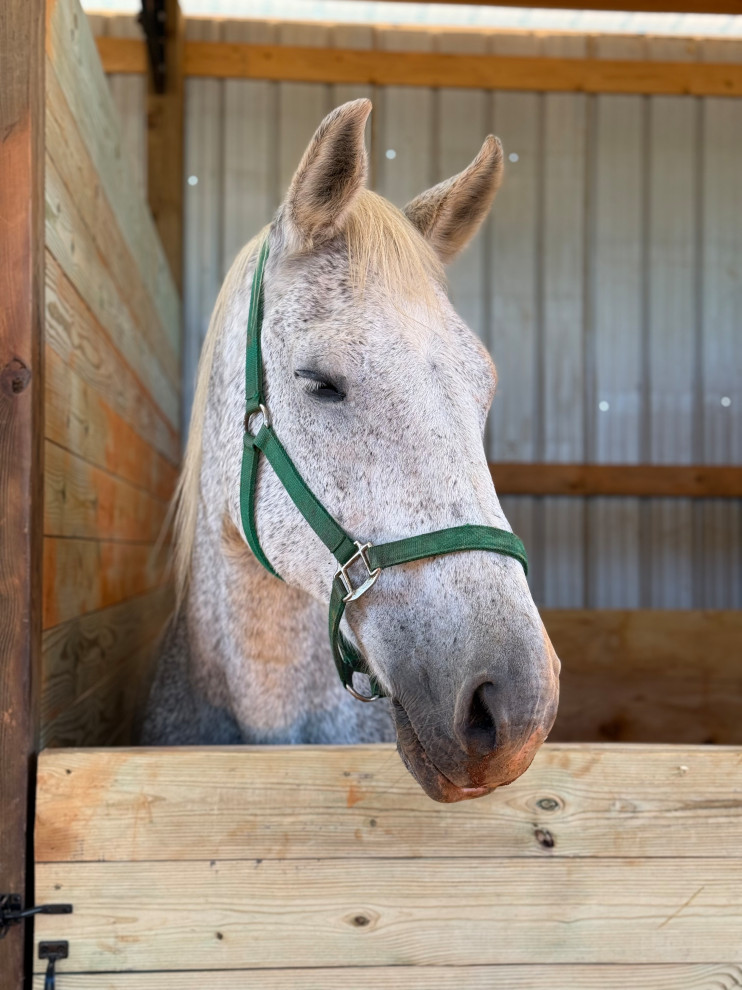 Reece Center Barn Renovation