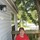 susie_henryealy