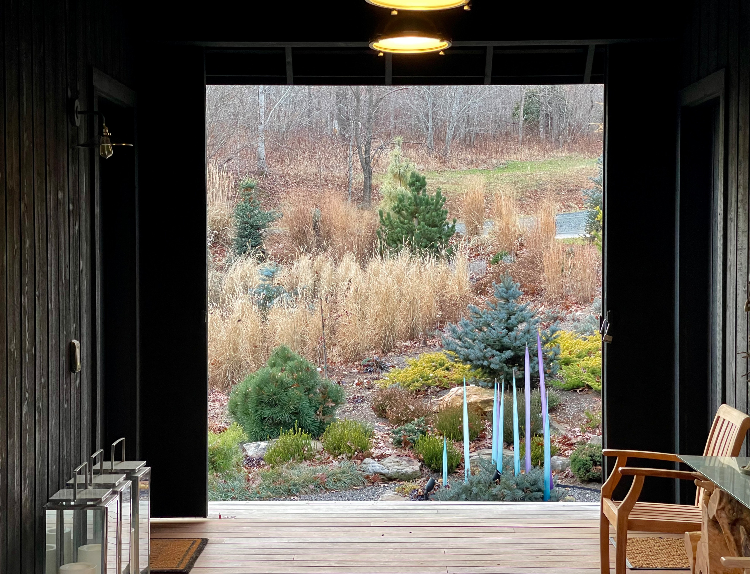 The Winter Garden As Seen From the Dogtrot