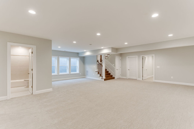 The Richmond Model Traditional Basement Dc Metro By