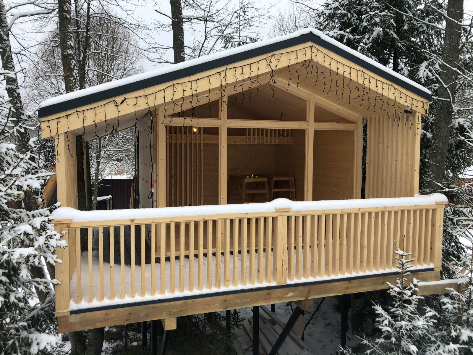 Проект «BONHOMME»