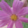 mackenzie_jackson16