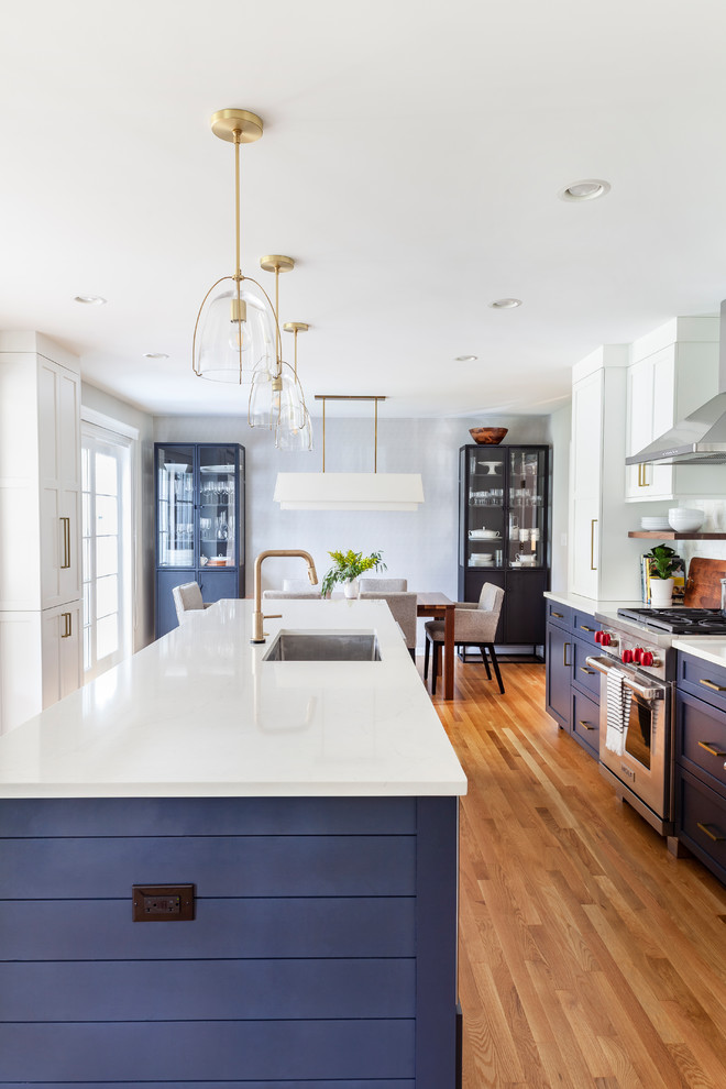 A Bold and Beautiful Blue Kitchen in Glen Ellyn - Transitional ...