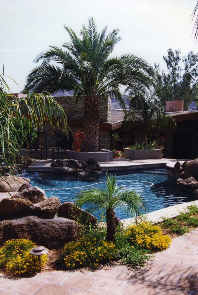 Design ideas for a tropical pool in Phoenix.