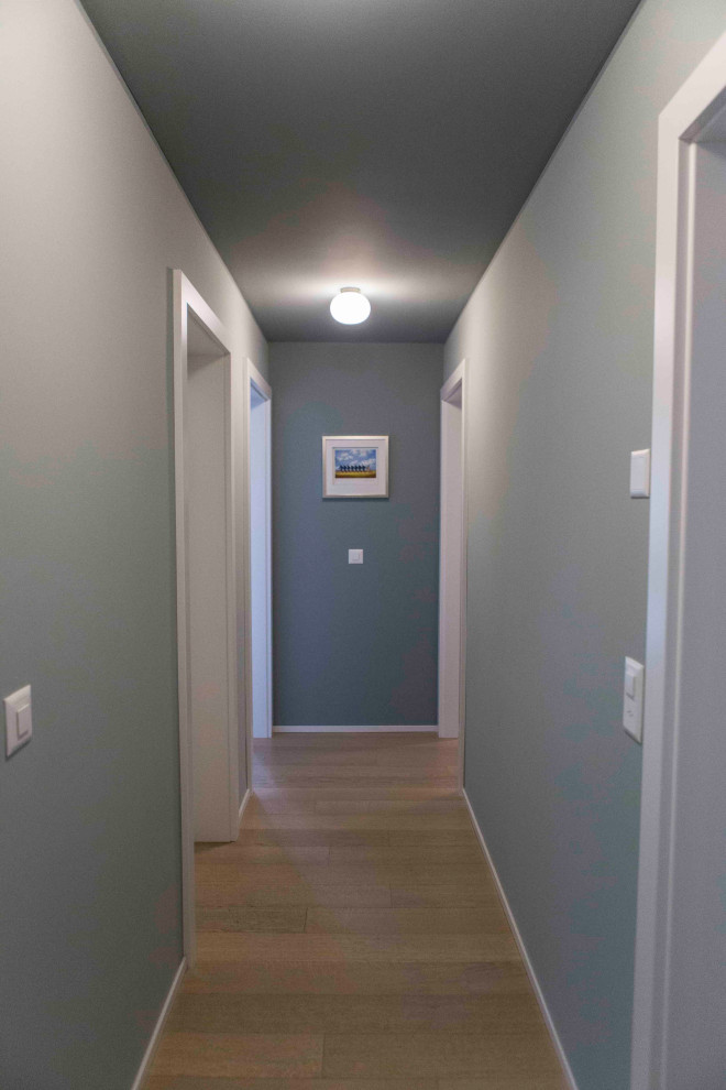Foto di un ingresso o corridoio minimalista con pareti verdi, parquet chiaro e soffitto ribassato