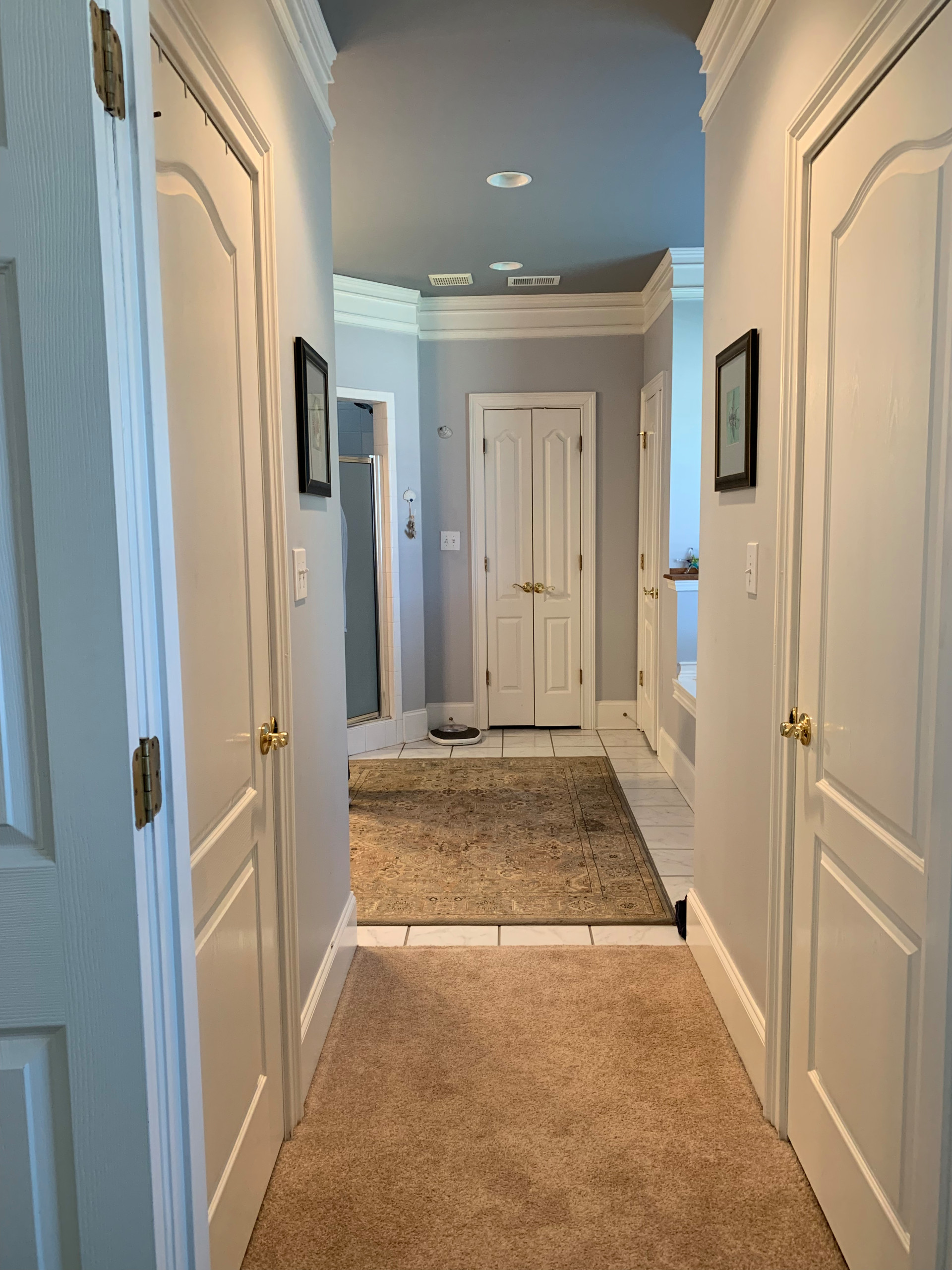 Chateau Forest Master Suite Remodel