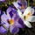 kerstin_mo27
