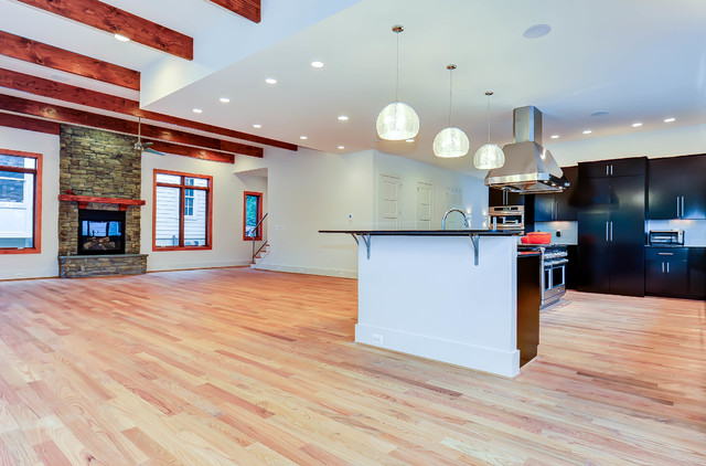 North Arlington - Contemporary LEED Gold Home contemporary-kitchen