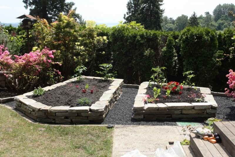 This is an example of a mid-sized mediterranean backyard full sun garden for spring in Seattle with a vegetable garden and concrete pavers.