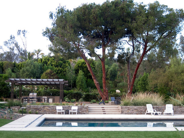 Rancho Santa Fe Sanctuary contemporary-swimming-pool-and-hot-tub
