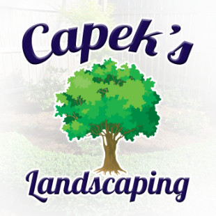 CAPEK'S LANDSCAPING - Project Photos & Reviews - St. Clair Shores, MI ...