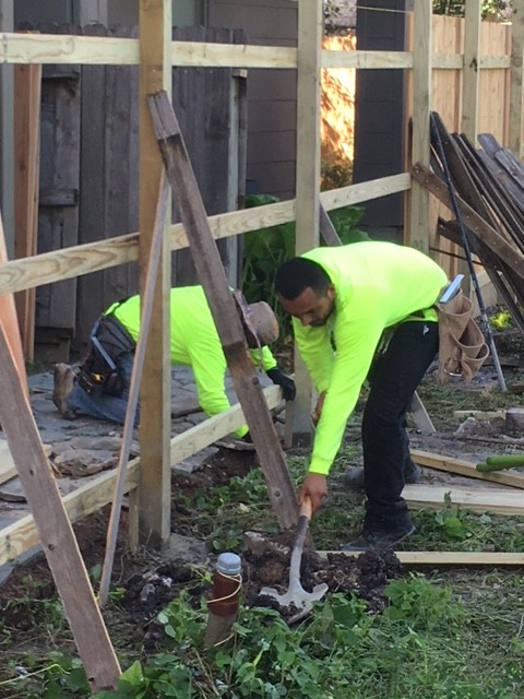 550' Cedar Fence Replacement