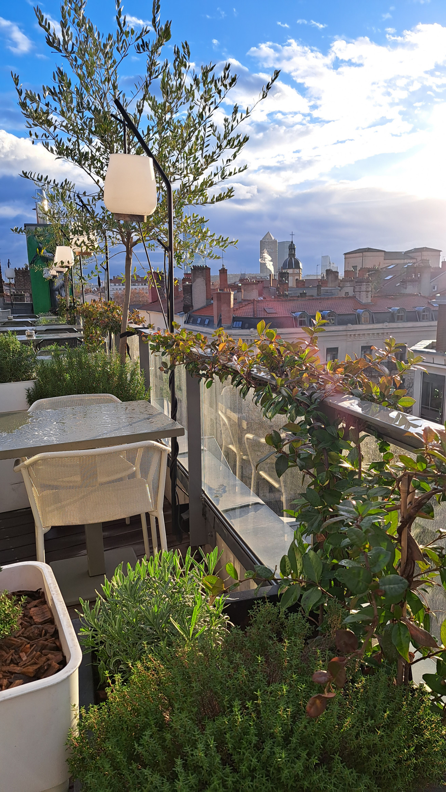 Aménagement d'une terrasse de 80m2