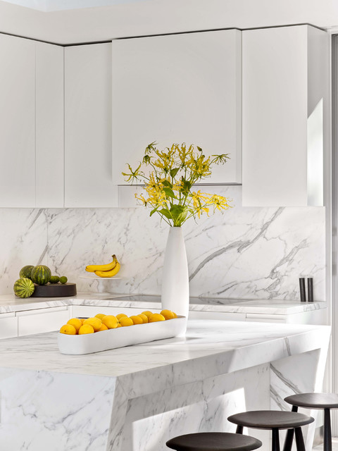 LAIDLEY #2 contemporary-kitchen