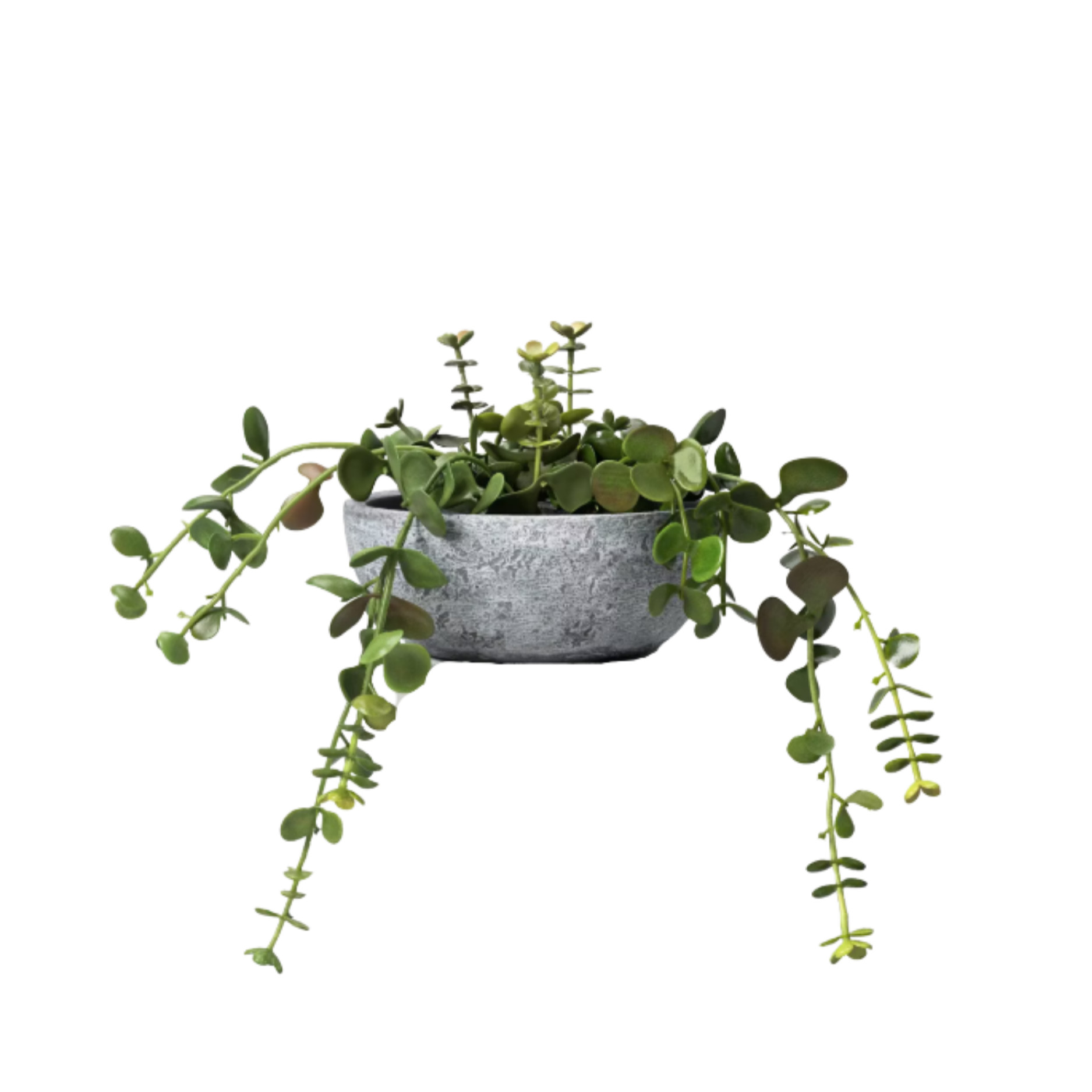 Retailer: Target | 10" Small Artificial Potted Trailing Sedum- Threshold™ designed with Studio McGee