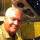 Last commented by Bob Pelt