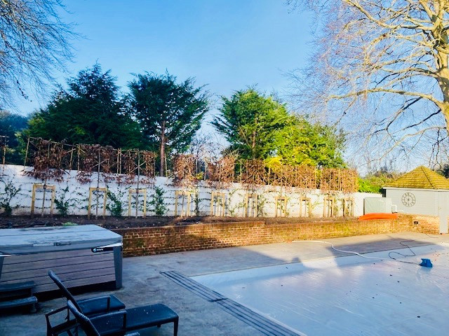 Garden Screening Ideas