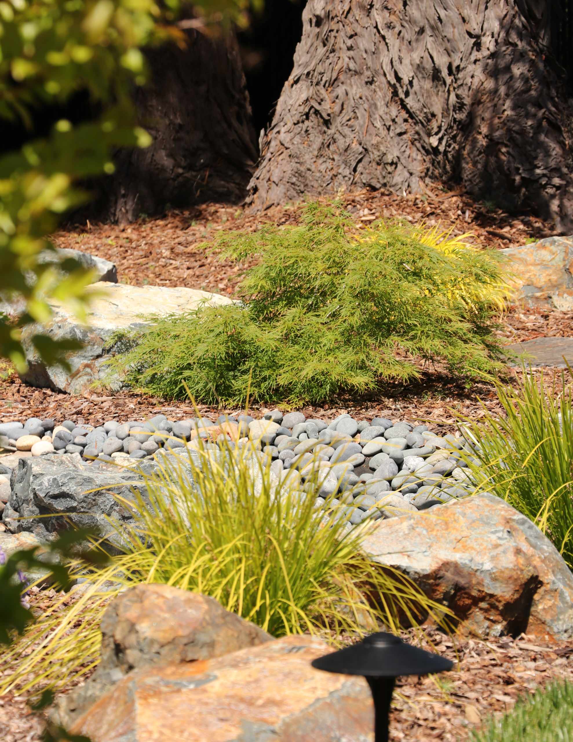FRONT YARD WITH TREES AND DRY-CREEK