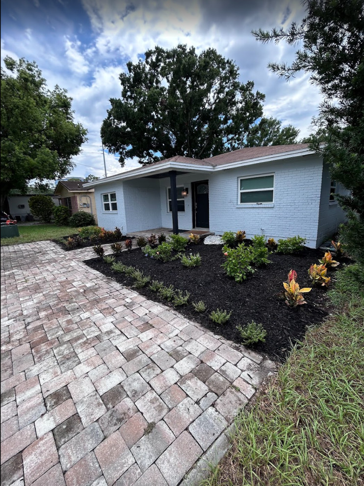 Black Mulch and New Plants