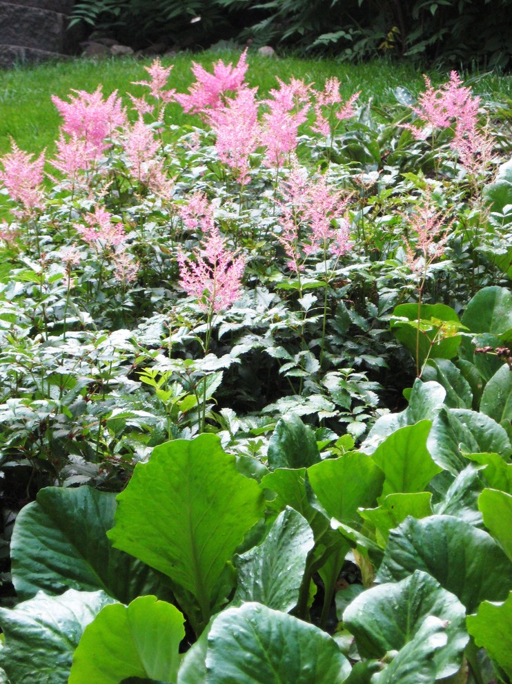 Photo of a traditional garden in Minneapolis.