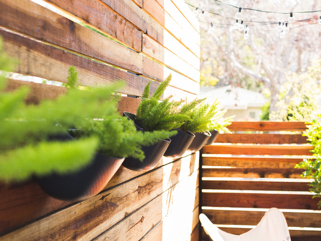 Modern Outdoor Patio With Hanging Plants And String Lights