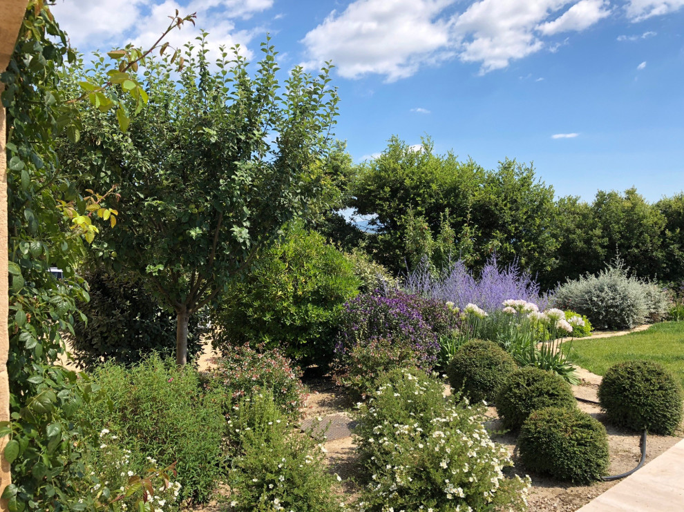 Cette photo montre un jardin méditerranéen.