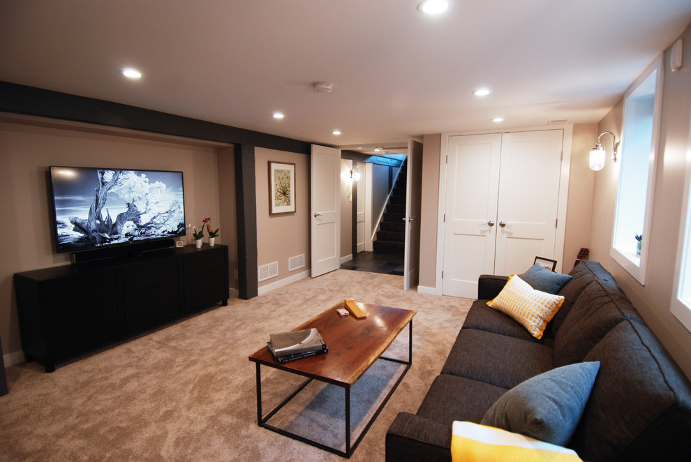 Basement - transitional basement idea in Minneapolis