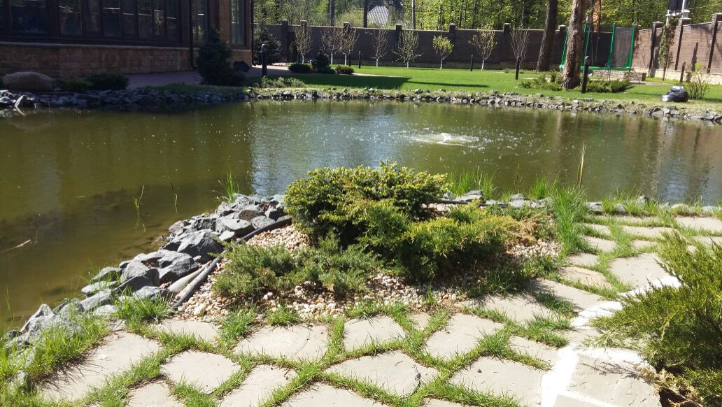 Береговая линия