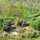 Higbee Landscaping