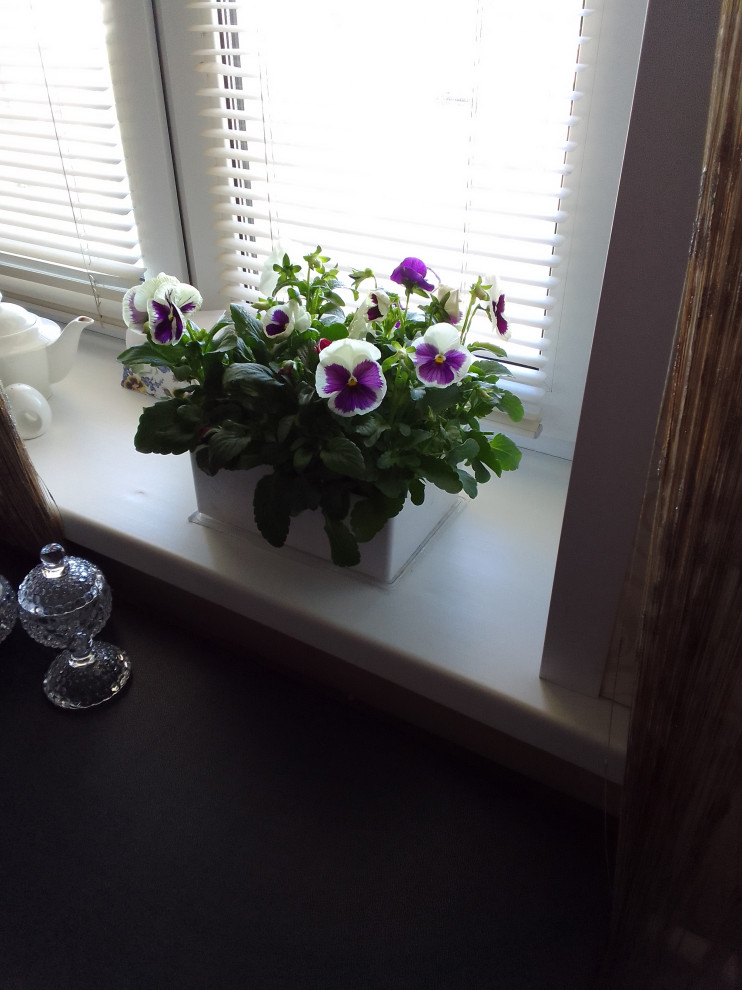 поклонникам виол - анютиных глазок