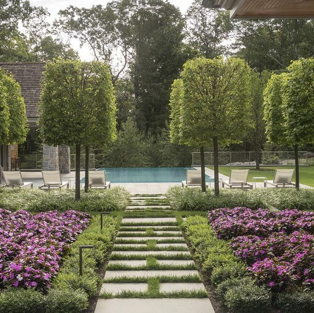 Fine Garden Maintenance Account for Peter Atkins and Associates