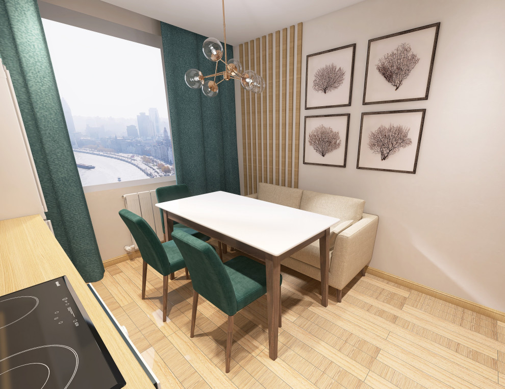 Частичный проект кухня и коридор