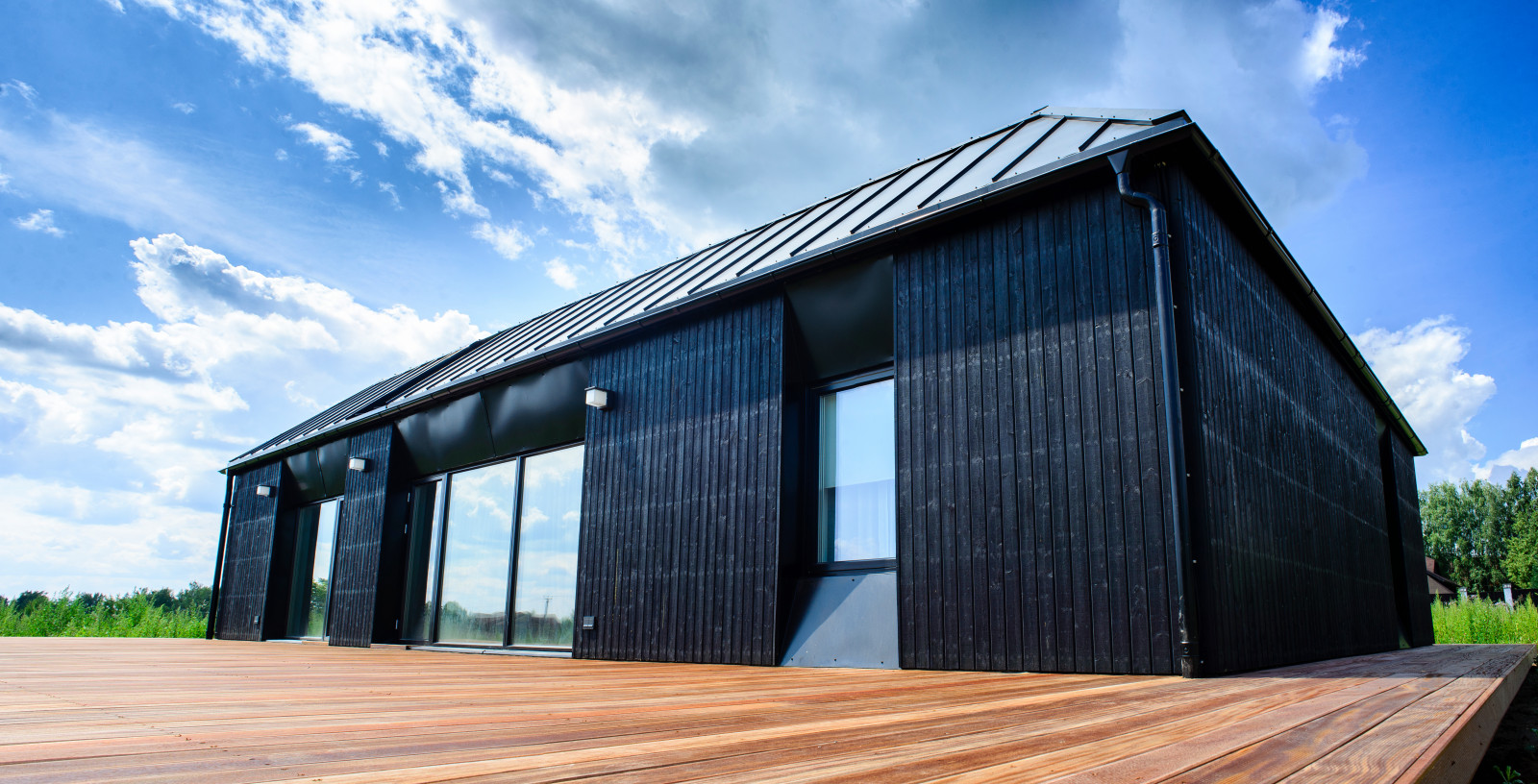 Шведский дом в деревне Палицы