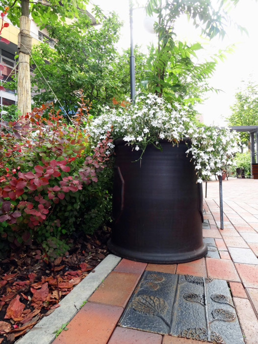 Парк ДК Новоспасский