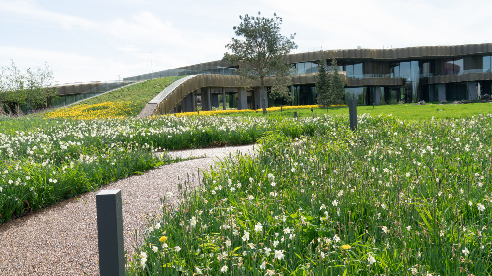 Природный сад. Жуковка XXI век. 2017-2018 гг.