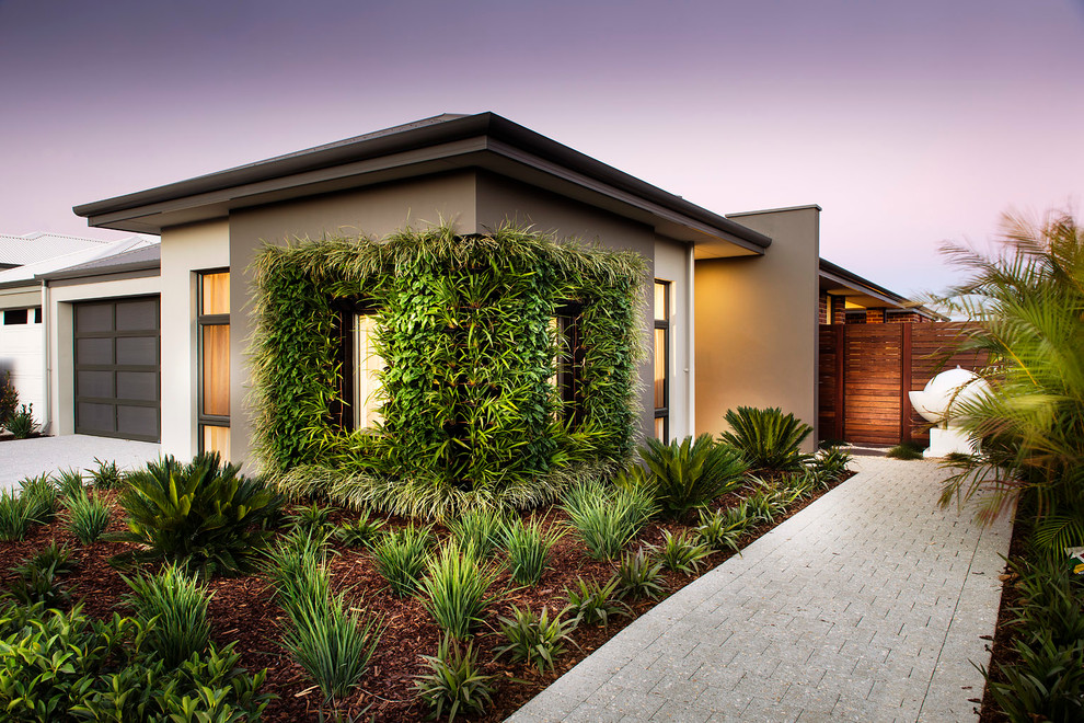 Inspiration for a contemporary front yard full sun garden in Perth with a vertical garden.