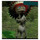 mike_solomon64