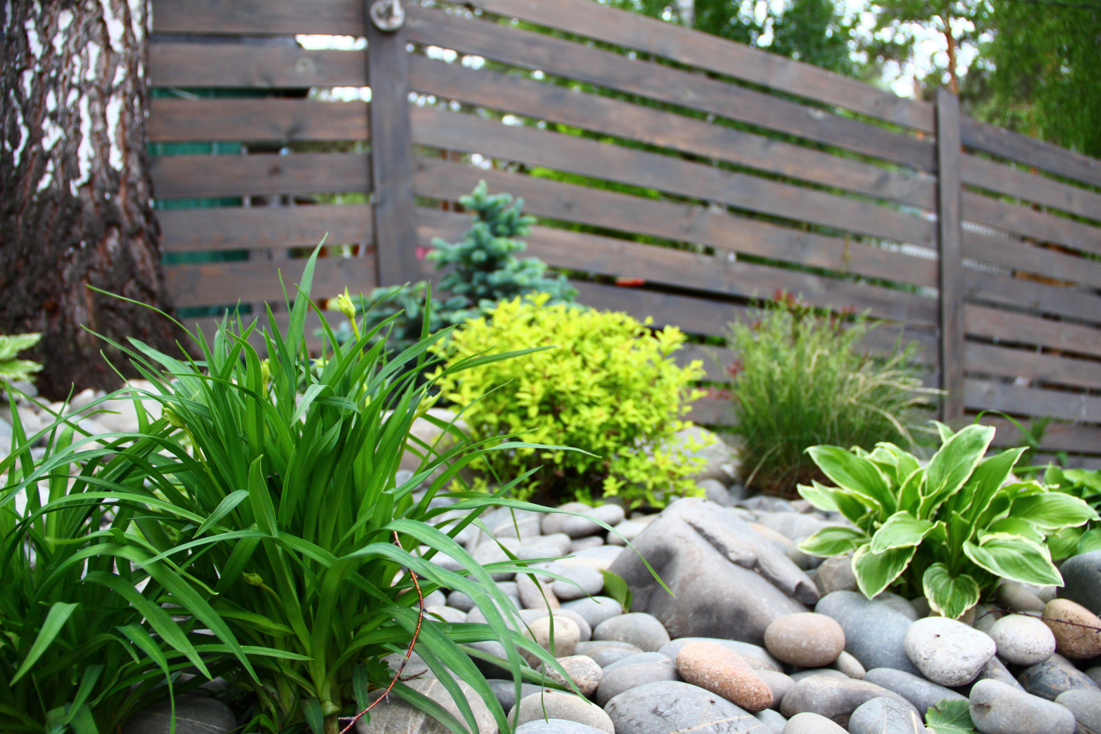 Создание уютного сада в Челябинске от Ландшафт74