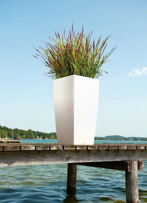 Сочетание дизайна и функциональности