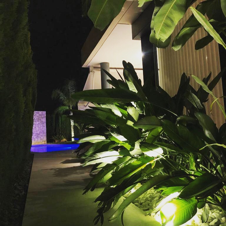 Diseño y Ejecución de jardín íntero