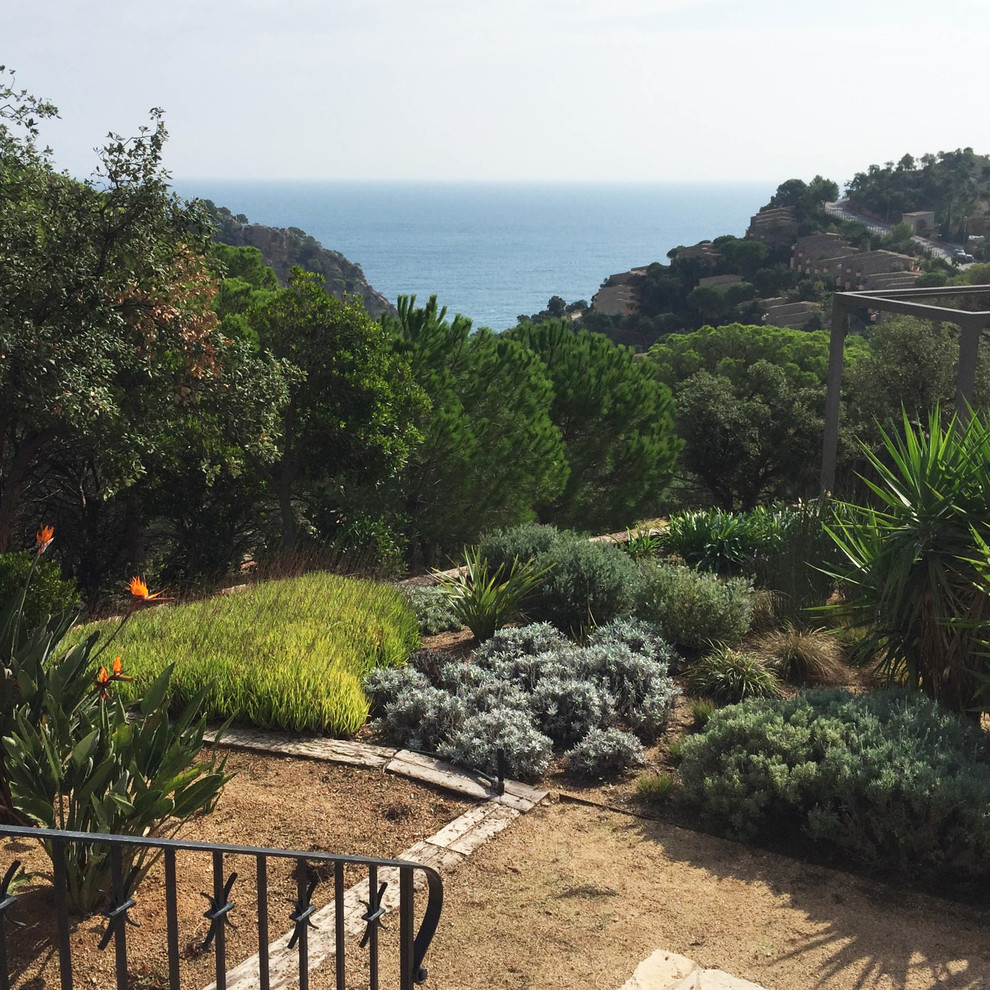 This is an example of a large mediterranean garden in Other.