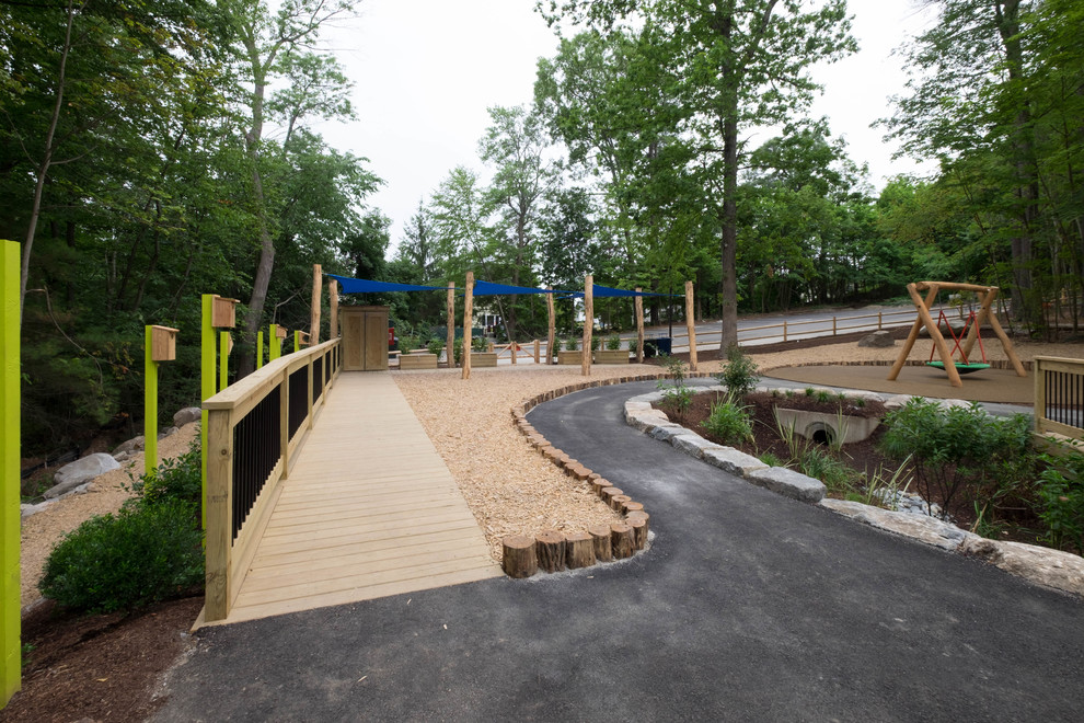Discovery Woods