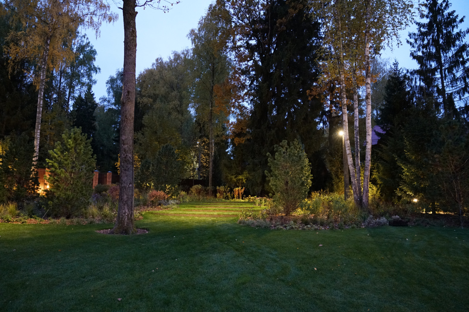 Круговорот  цвета. Дубровка 2021