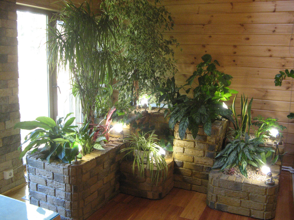 НИИ Радио. Зимний сад