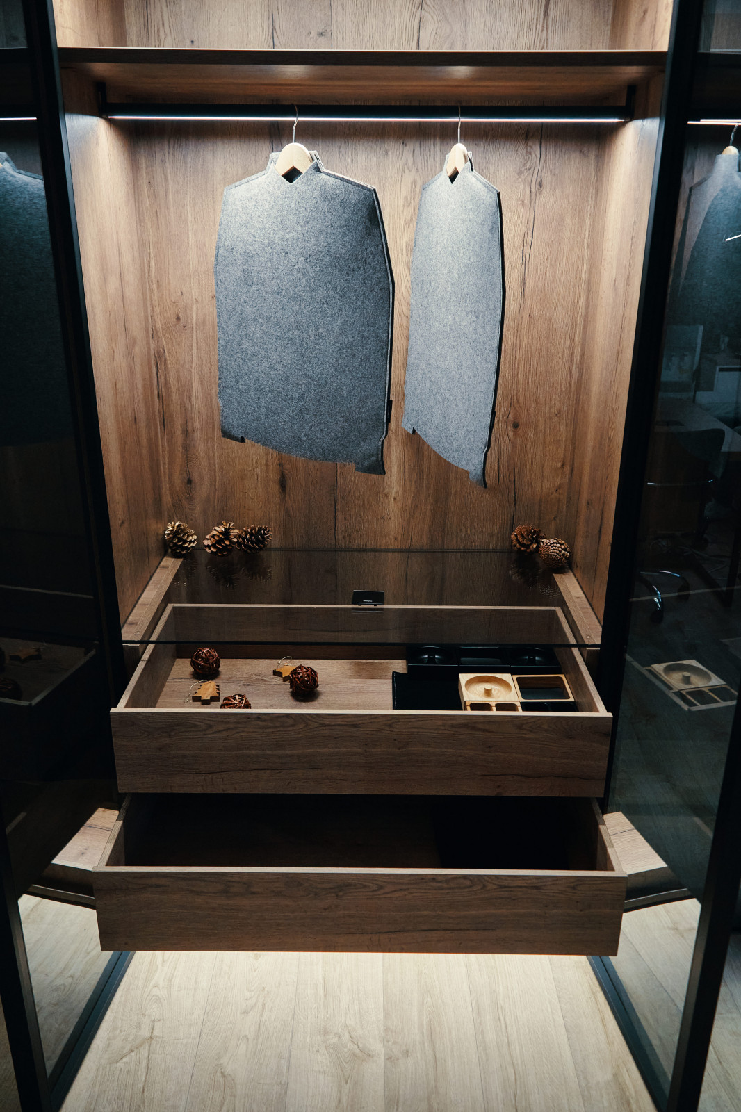 Высокий распашной шкаф RPE raumplus с тонированными стеклами