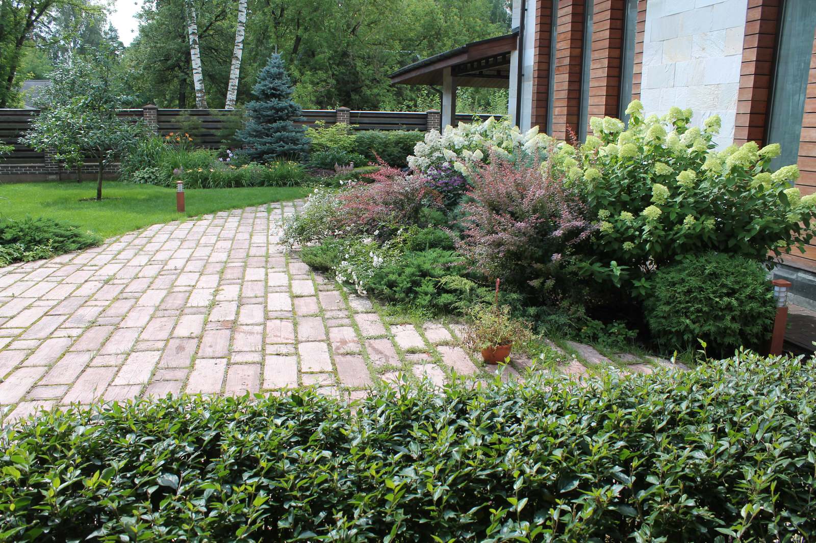 Сад в поселке Салтыковка