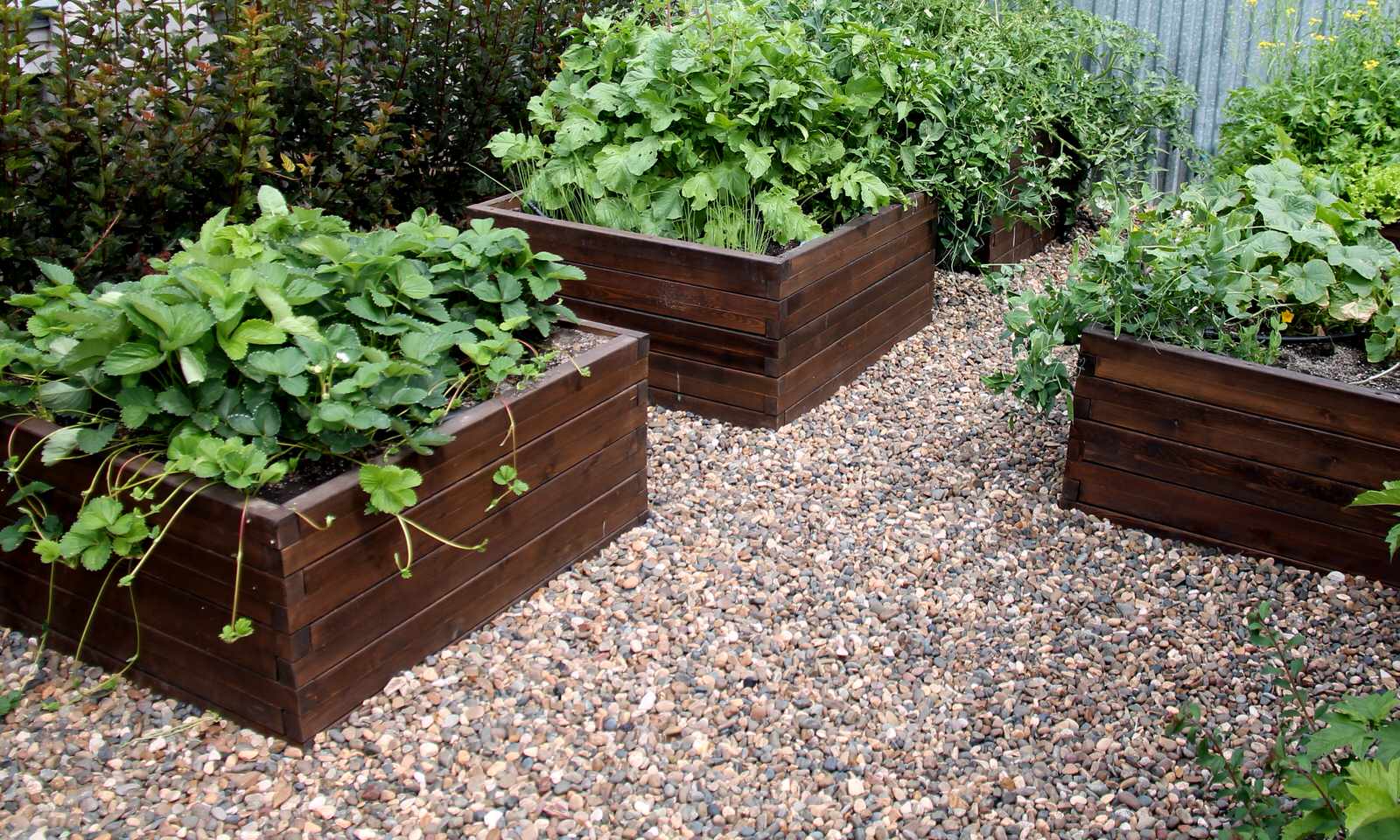 "Замыкая круг"